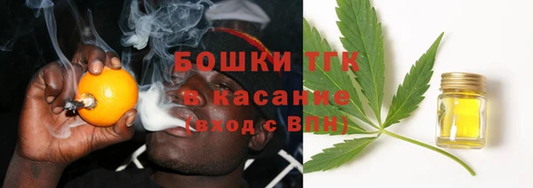 шишки Аркадак