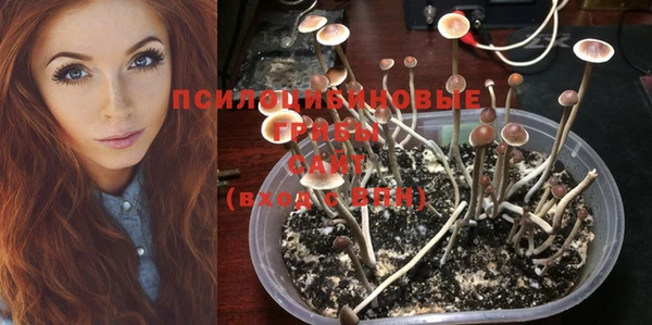 молекула духа Балабаново
