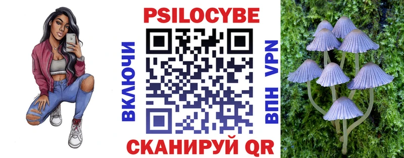 купить   Калининец  Галлюциногенные грибы GOLDEN TEACHER 