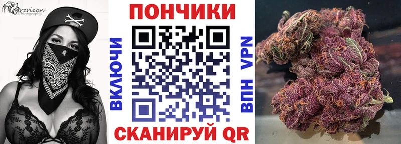 закладки  Калининец  Конопля AK-47 